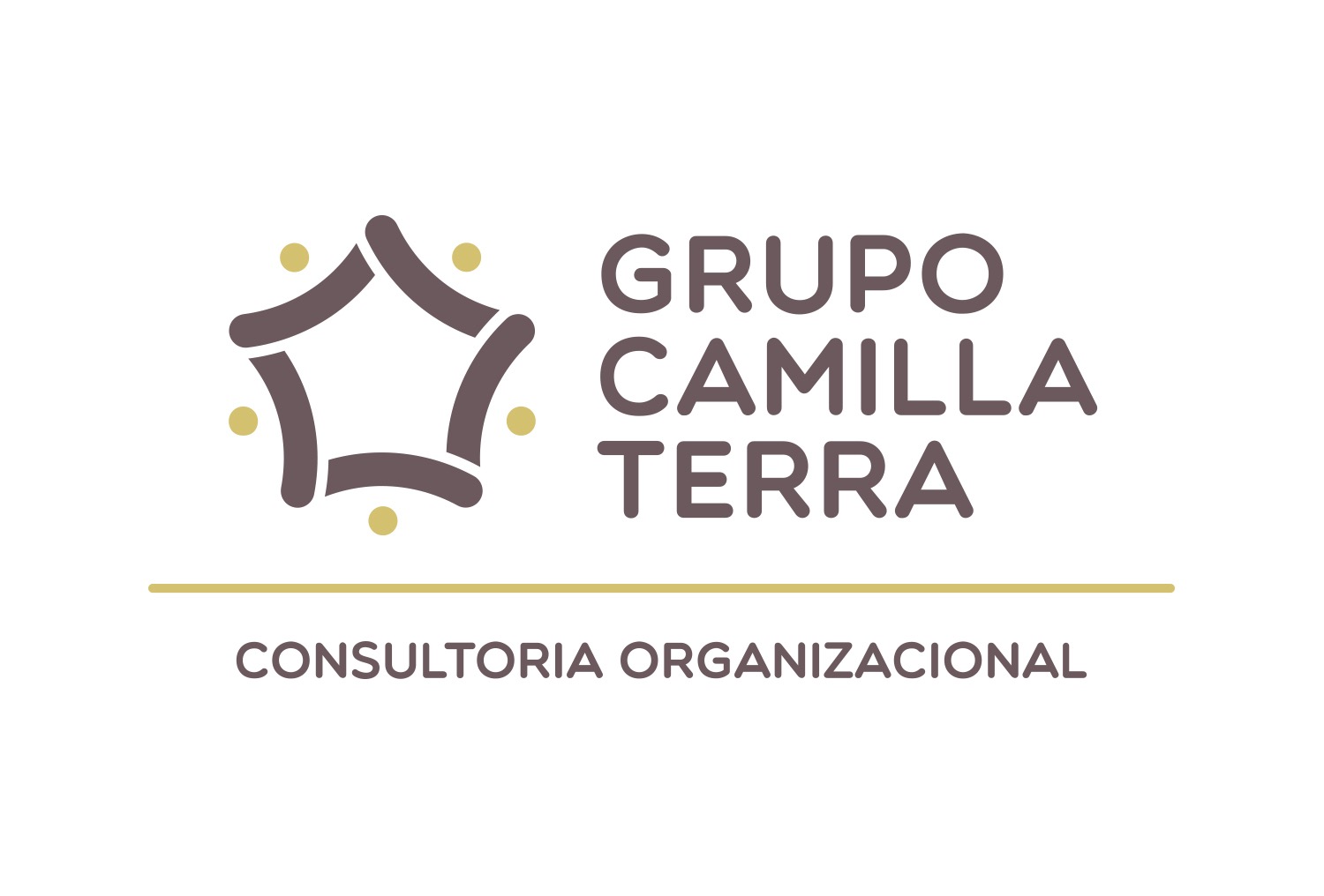 CONSULTORIA CAMILLA TERRA LTDA