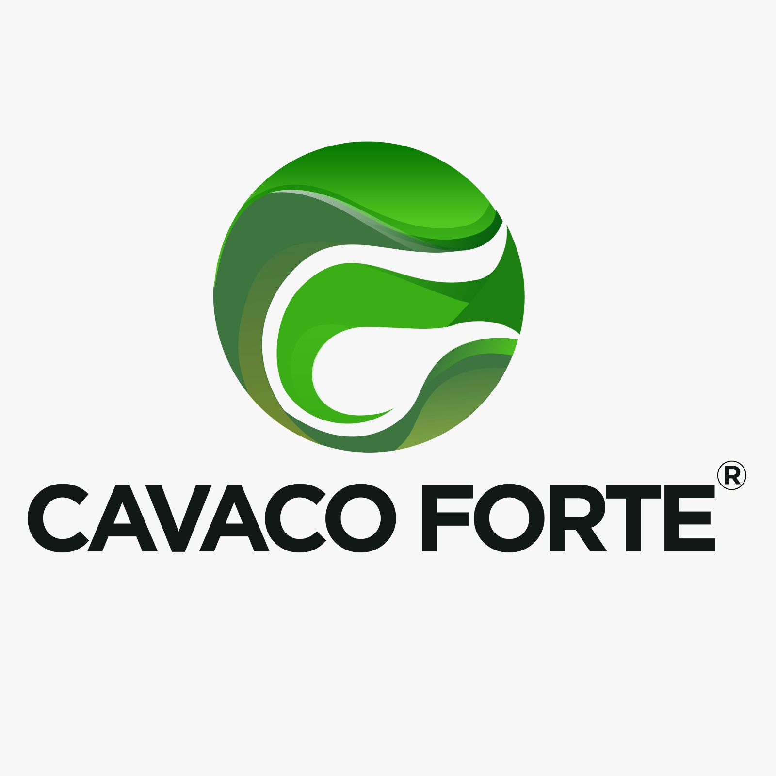 CAVACO FORTE SOLUCOES AGROINDUSTRIAIS LTDA