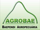 BAEPENDI AGROPECUARIA S/A