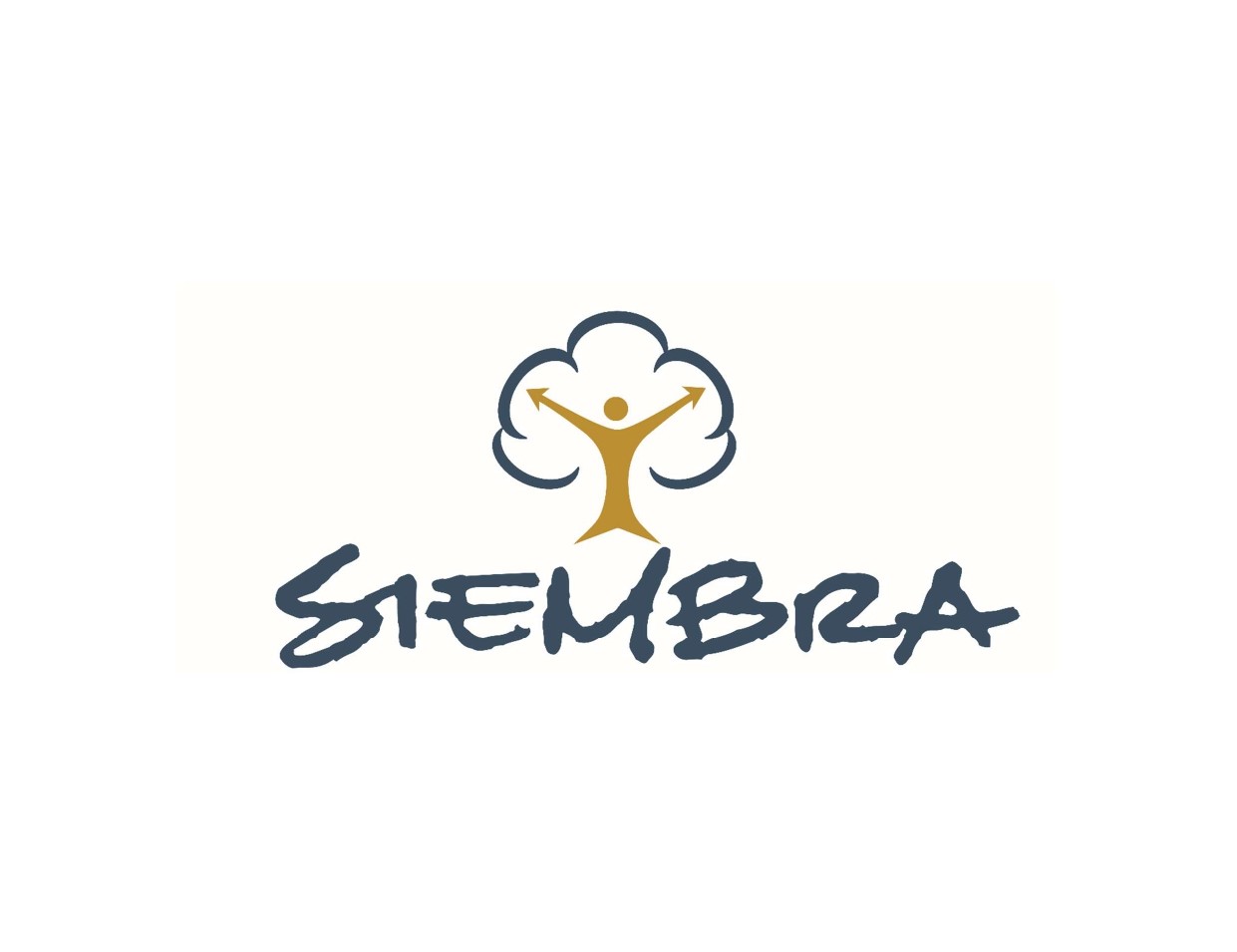 IRENEU RENATO DA SILVEIRA