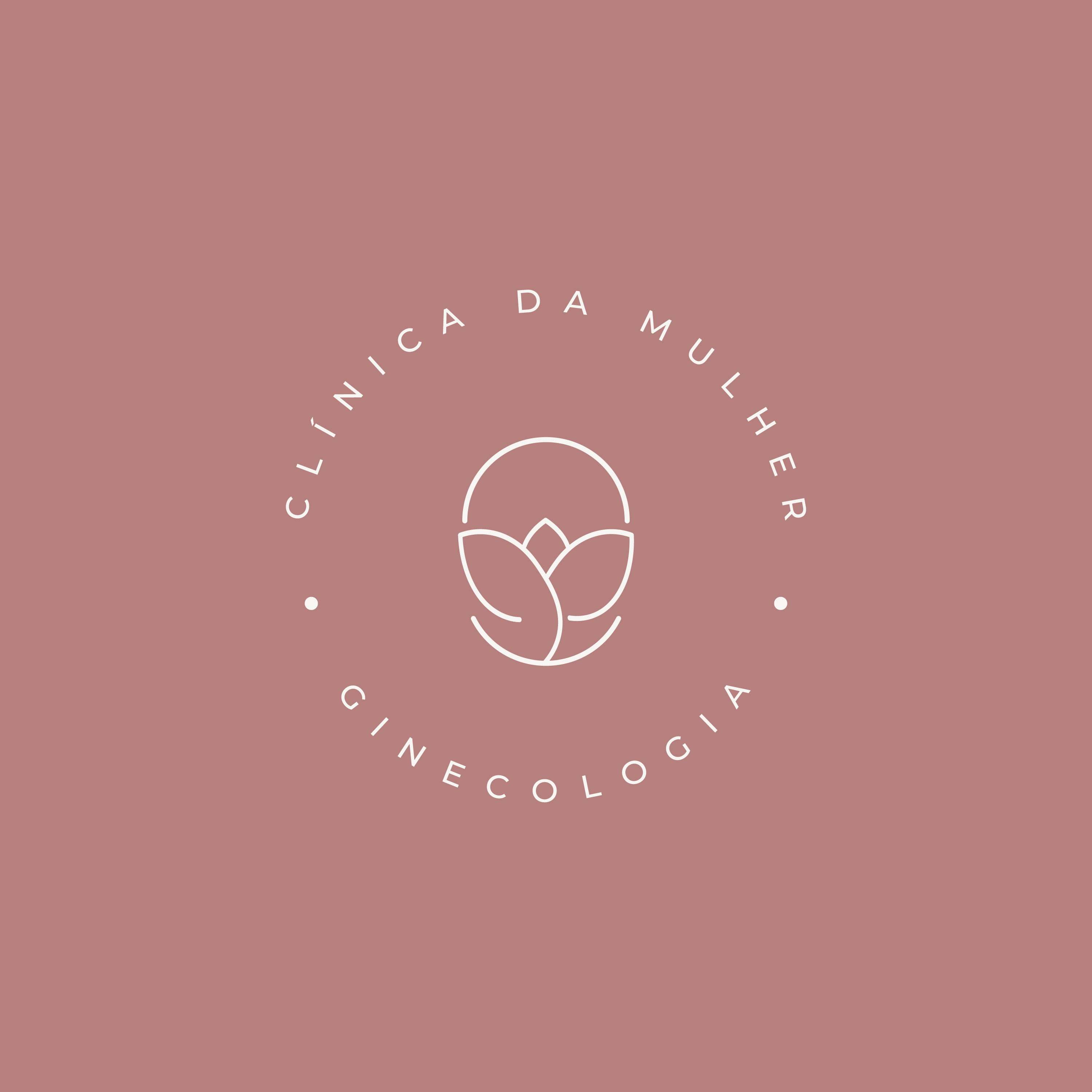 CLINICA DA MULHER - ASSISTENCIA MEDICA LTDA