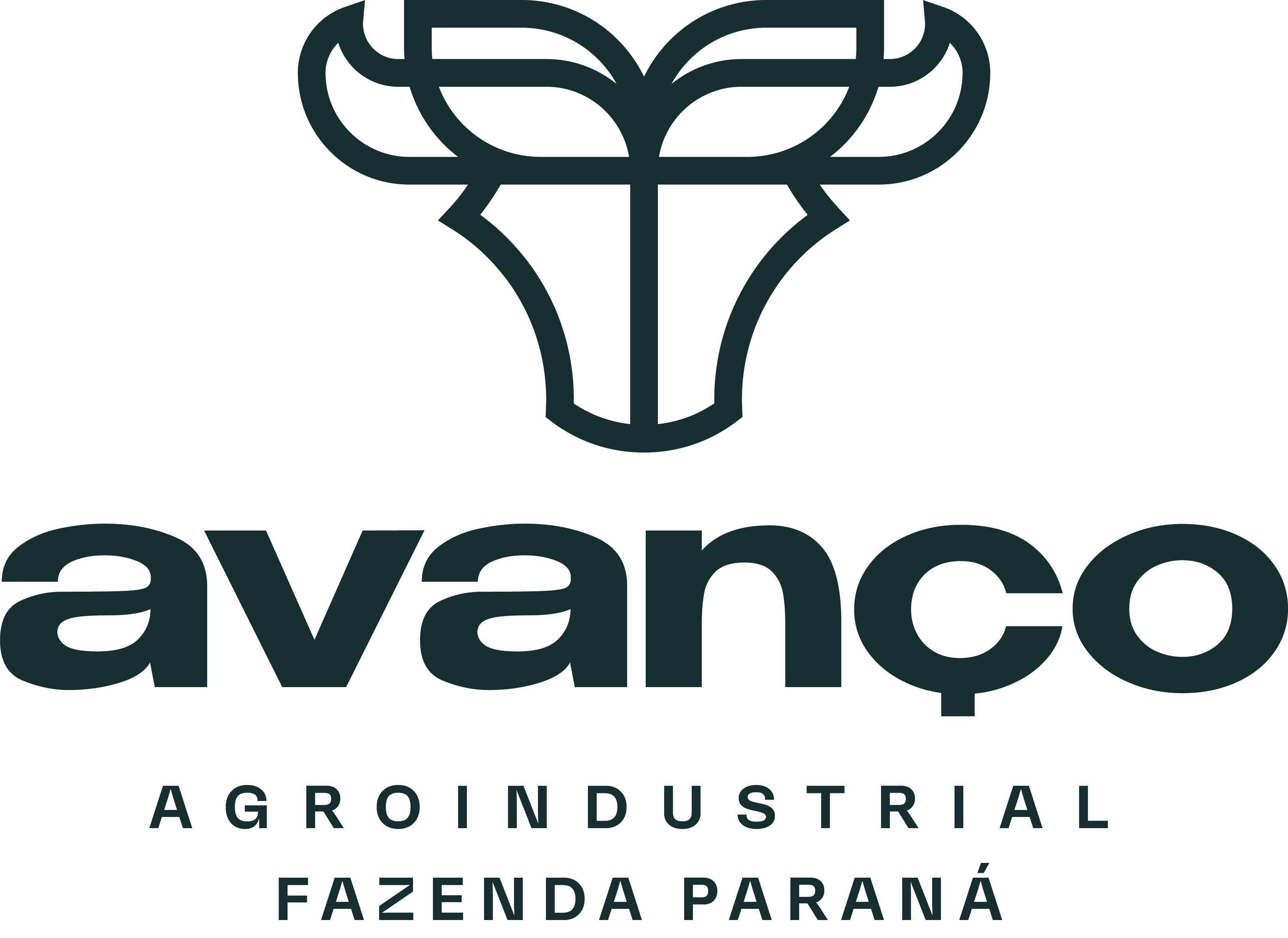AVANCO AGROINDUSTRIAL S/A