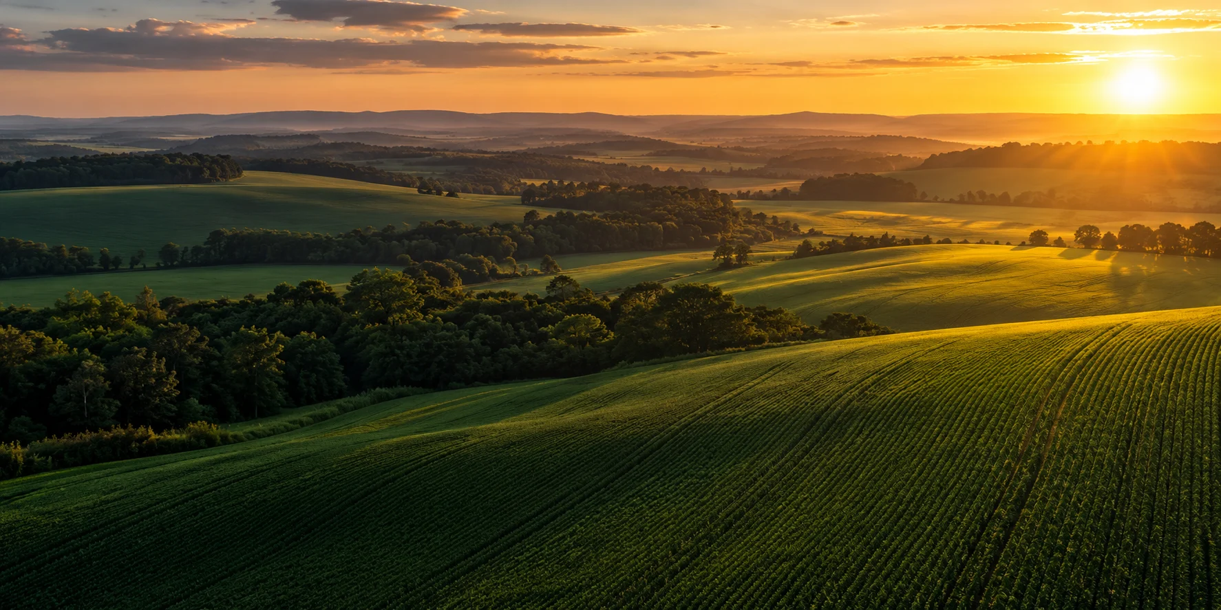 Paisagem agrícola com lavouras ao pôr do sol